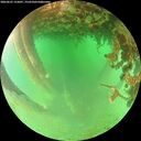 ./images/calvert/underwater/20260625/underwater20260625_155001M.jpg