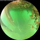 ./images/calvert/underwater/20260625/underwater20260625_160001M.jpg