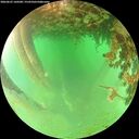 ./images/calvert/underwater/20260625/underwater20260625_160501M.jpg