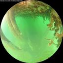 ./images/calvert/underwater/20260625/underwater20260625_161001M.jpg