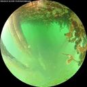 ./images/calvert/underwater/20260625/underwater20260625_161501M.jpg