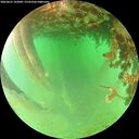 ./images/calvert/underwater/20260625/underwater20260625_162001M.jpg