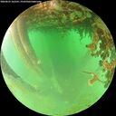 ./images/calvert/underwater/20260625/underwater20260625_162501M.jpg