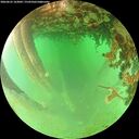 ./images/calvert/underwater/20260625/underwater20260625_163001M.jpg