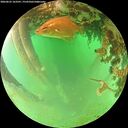 ./images/calvert/underwater/20260625/underwater20260625_163501M.jpg