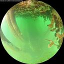 ./images/calvert/underwater/20260625/underwater20260625_164001M.jpg