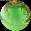 ./images/calvert/underwater/20260625/underwater20260625_164501M.jpg