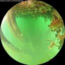 ./images/calvert/underwater/20260625/underwater20260625_165001M.jpg