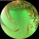 ./images/calvert/underwater/20260625/underwater20260625_165501M.jpg