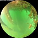 ./images/calvert/underwater/20260625/underwater20260625_170001M.jpg