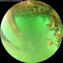 ./images/calvert/underwater/20260625/underwater20260625_170501M.jpg