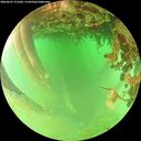 ./images/calvert/underwater/20260625/underwater20260625_171001M.jpg