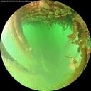 ./images/calvert/underwater/20260625/underwater20260625_171502M.jpg
