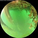 ./images/calvert/underwater/20260625/underwater20260625_172501M.jpg