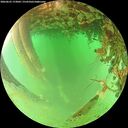 ./images/calvert/underwater/20260625/underwater20260625_173001M.jpg
