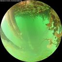 ./images/calvert/underwater/20260625/underwater20260625_173501M.jpg