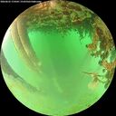 ./images/calvert/underwater/20260625/underwater20260625_174501M.jpg