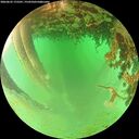 ./images/calvert/underwater/20260625/underwater20260625_175501M.jpg