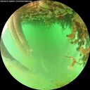 ./images/calvert/underwater/20260625/underwater20260625_180001M.jpg