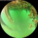 ./images/calvert/underwater/20260625/underwater20260625_180502M.jpg