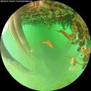 ./images/calvert/underwater/20260625/underwater20260625_181002M.jpg