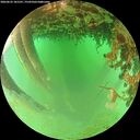 ./images/calvert/underwater/20260625/underwater20260625_181501M.jpg