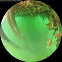 ./images/calvert/underwater/20260625/underwater20260625_182001M.jpg