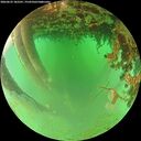 ./images/calvert/underwater/20260625/underwater20260625_182501M.jpg
