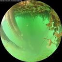 ./images/calvert/underwater/20260625/underwater20260625_183001M.jpg