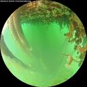 ./images/calvert/underwater/20260625/underwater20260625_183501M.jpg