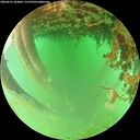 ./images/calvert/underwater/20260625/underwater20260625_184001M.jpg