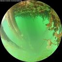 ./images/calvert/underwater/20260625/underwater20260625_184502M.jpg