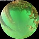./images/calvert/underwater/20260625/underwater20260625_185001M.jpg