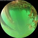 ./images/calvert/underwater/20260625/underwater20260625_185501M.jpg