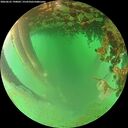 ./images/calvert/underwater/20260625/underwater20260625_190001M.jpg
