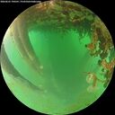 ./images/calvert/underwater/20260625/underwater20260625_190501M.jpg