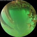./images/calvert/underwater/20260625/underwater20260625_191001M.jpg