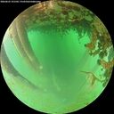 ./images/calvert/underwater/20260625/underwater20260625_191501M.jpg