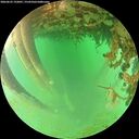 ./images/calvert/underwater/20260625/underwater20260625_192001M.jpg