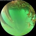 ./images/calvert/underwater/20260625/underwater20260625_192501M.jpg