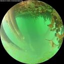 ./images/calvert/underwater/20260625/underwater20260625_193001M.jpg