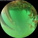./images/calvert/underwater/20260625/underwater20260625_193501M.jpg