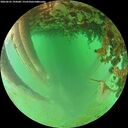 ./images/calvert/underwater/20260625/underwater20260625_194501M.jpg
