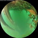 ./images/calvert/underwater/20260625/underwater20260625_195501M.jpg