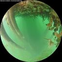 ./images/calvert/underwater/20260625/underwater20260625_200001M.jpg