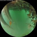 ./images/calvert/underwater/20260625/underwater20260625_200501M.jpg