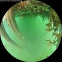 ./images/calvert/underwater/20260625/underwater20260625_201001M.jpg