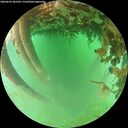 ./images/calvert/underwater/20260625/underwater20260625_201502M.jpg