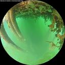 ./images/calvert/underwater/20260625/underwater20260625_202001M.jpg