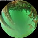 ./images/calvert/underwater/20260625/underwater20260625_202501M.jpg